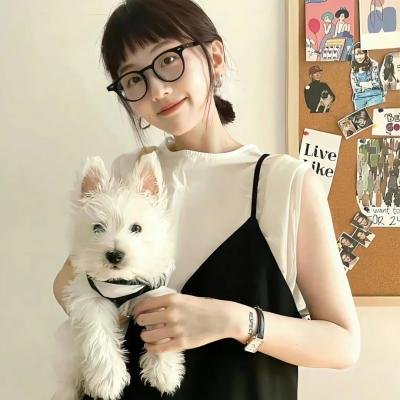 驯龙高手番外篇:龙的礼物