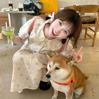 宝岛恩仇
